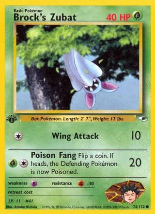 Brock's Zubat — タケシのズバット (1998)