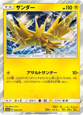 Zapdos — サンダー (2019)