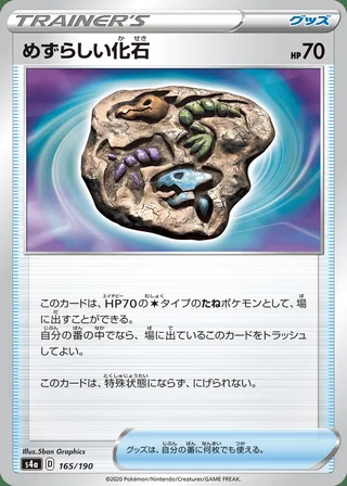 Rare Fossil — めずらしい化石 (2020)