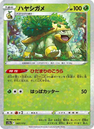 Grotle — ハヤシガメ (2022)
