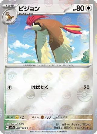 Pidgeotto — ピジョン (2023)