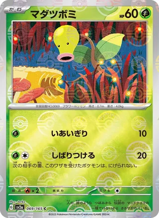 Bellsprout — マダツボミ (2023)