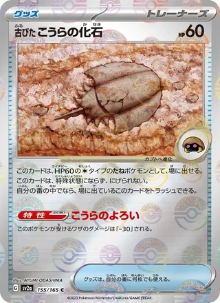 Antique Dome Fossil — 古びたこうらの化石 (2023)