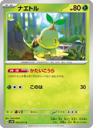Turtwig — ナエトル (2024)