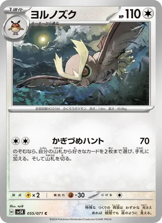 Noctowl — ヨルノズク (2024)