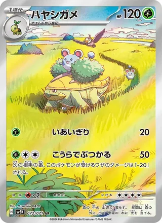 Grotle — ハヤシガメ (2024)