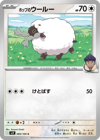 Hop’s Wooloo — ホップのウールー (2025)