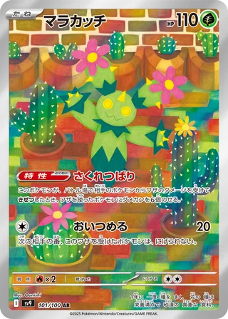 Maractus — マラカッチ (2025)