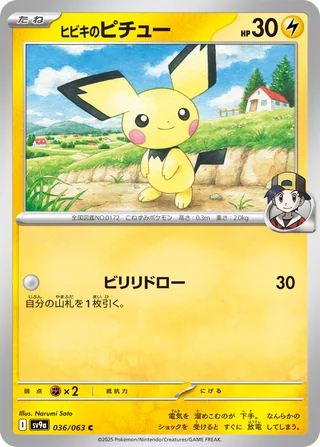 Ethan’s Pichu — ヒビキのピチュー (2025)
