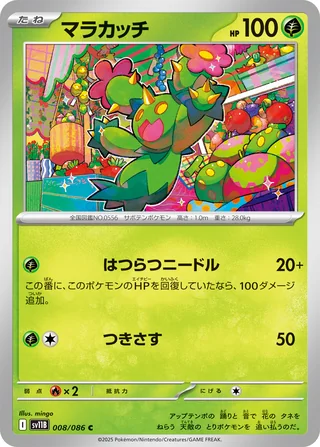 Maractus — マラカッチ (2025)