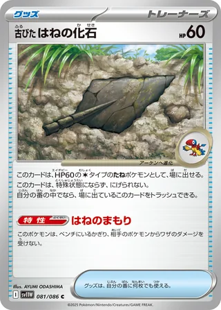 Antique Plume Fossil — 古びたはねの化石 (2025)