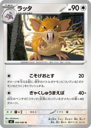 Raticate — ラッタ (2026)