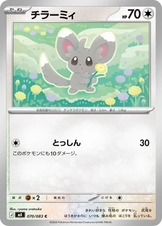 Minccino — チラーミィ (2026)