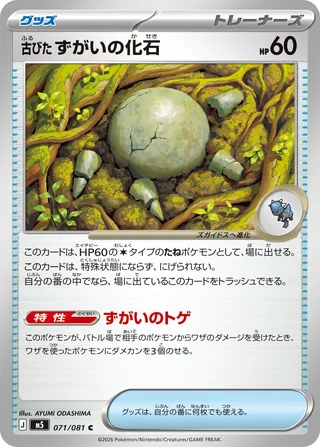 Antique Skull Fossil — 古びたずがいの化石 (2026)
