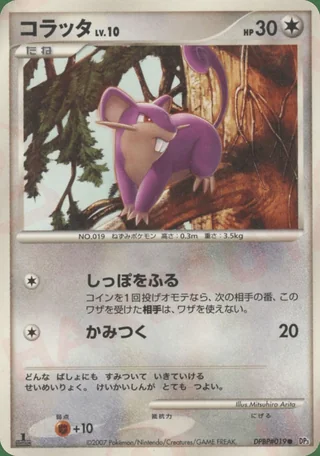 Rattata — コラッタ (2007)