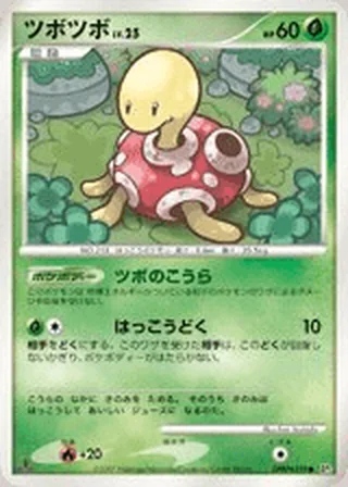 Shuckle — ツボツボ (2007)