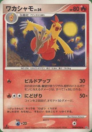 Combusken — ワカシャモ (2007)