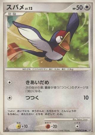 Taillow — スバメ (2008)
