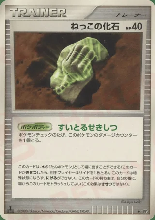 Root Fossil — ねっこの化石 (2008)