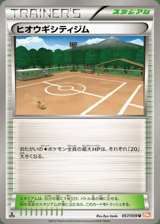 Aspertia City Gym — ヒオウギシティジム (2012)