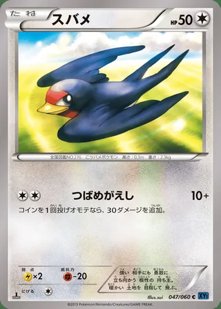 Taillow — スバメ (2013)