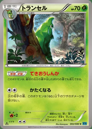 Metapod — トランセル (2014)
