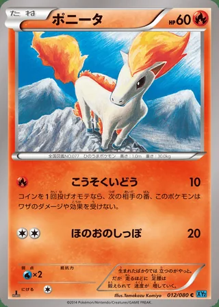 Ponyta — ポニータ (2014)