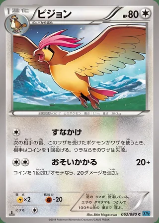 Pidgeotto — ピジョン (2014)