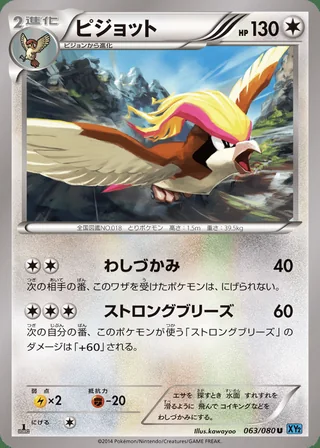 Pidgeot — ピジョット (2014)