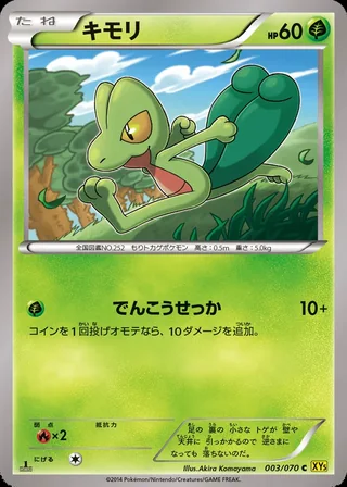 Treecko — キモリ (2014)
