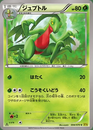 Grovyle — ジュプトル (2014)