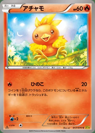 Torchic — アチャモ (2014)