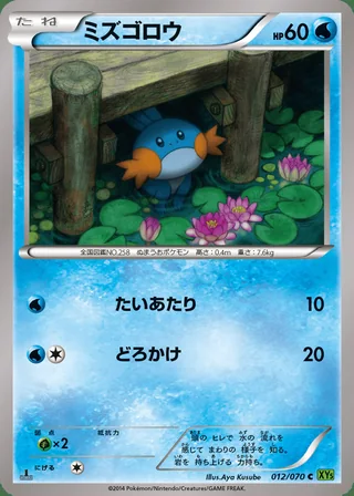 Mudkip — ミズゴロウ (2014)