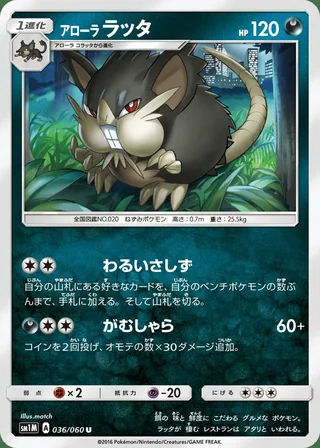 Alolan Raticate — アローラ ラッタ (2016)