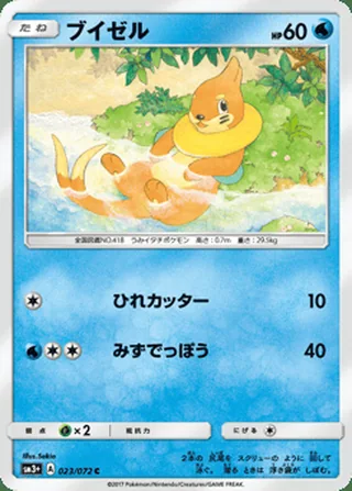 Buizel — ブイゼル (2017)