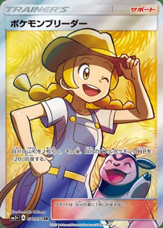 Pokémon Breeder — ポケモンブリーダー (2017)