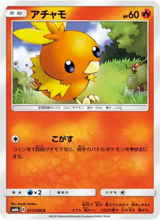 Torchic — アチャモ (2018)