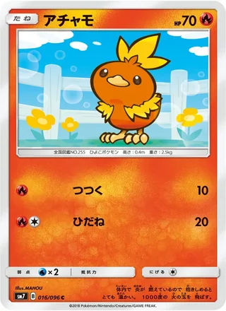 Torchic — アチャモ (2018)