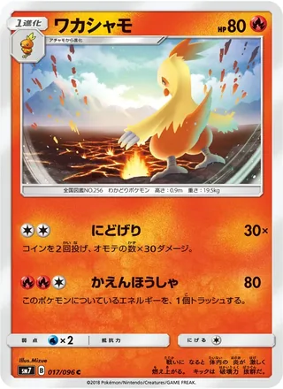 Combusken — ワカシャモ (2018)