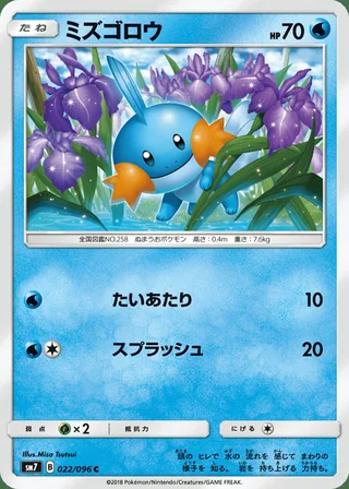 Mudkip — ミズゴロウ (2018)