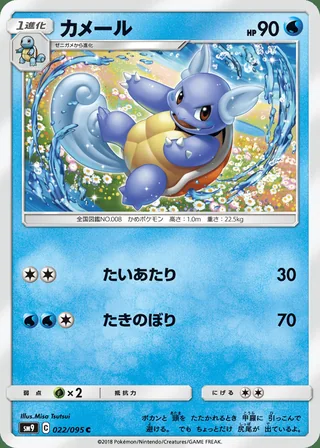 Wartortle — カメール (2018)