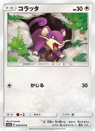 Rattata — コラッタ (2019)