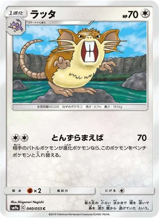 Raticate — ラッタ (2019)