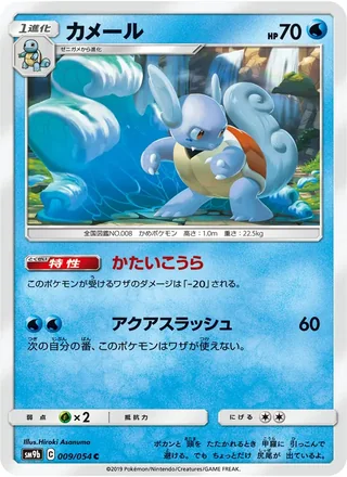 Wartortle — カメール (2019)