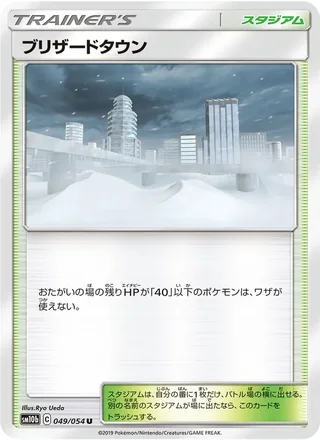Blizzard Town — ブリザードタウン (2019)