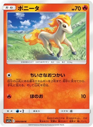 Ponyta — ポニータ (2019)