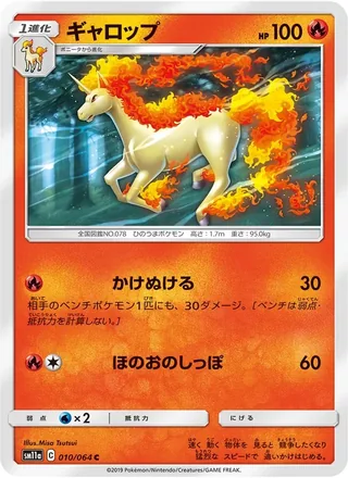 Rapidash — ギャロップ (2019)