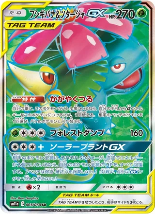 Venusaur & Snivy-GX — フシギバナ&ツタージャGX (2019)