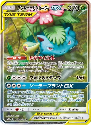 Venusaur & Snivy-GX — フシギバナ&ツタージャGX (2019)