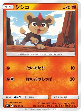 Litleo — シシコ (2019)